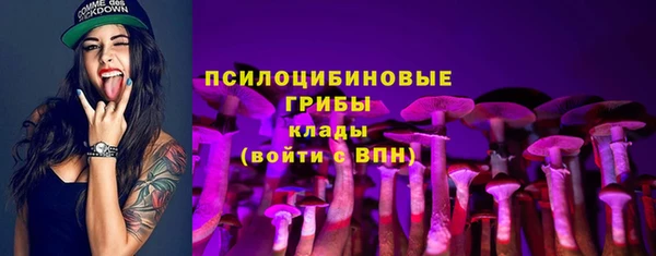 гашик Зеленодольск