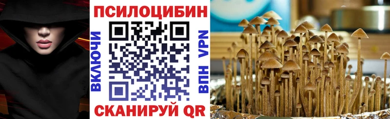 Купить где  Горнозаводск  Галлюциногенные грибы Psilocybe 